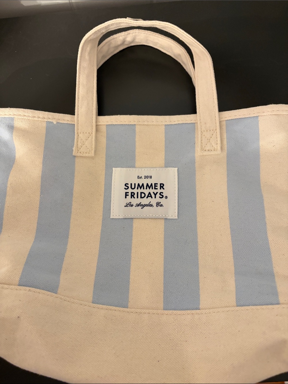 Summer Fridays Light Blue and Cream Striped Canvas Mini Tote